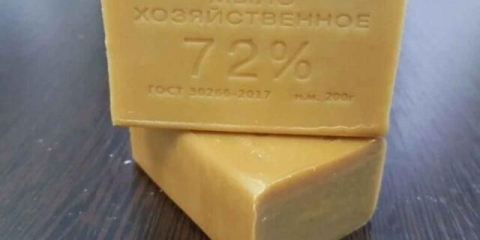 Sapun za pranje rublja protiv lisnih uši na drveću u vrtu: recepti za upotrebu